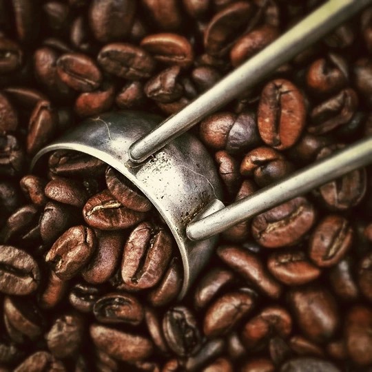 GR-beans-2